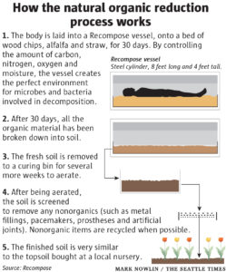 Proceso de compostaje humano