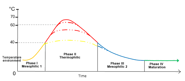 Graphic of the Thermal Phases of Composting